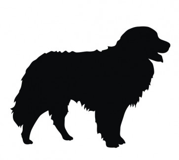 berner-sennenhund-1-aufkleber-31000